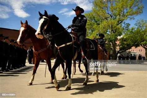 Denver Sheriff Department’s Mounted Posse suffered loss of 3 horses in 2023